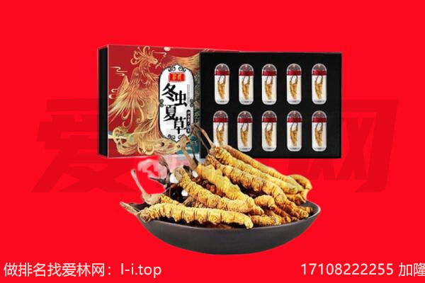 秭归县回收虫草.jpg